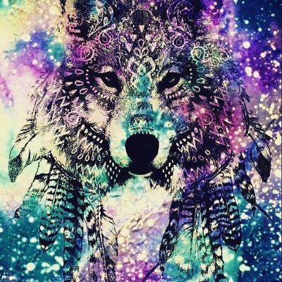 Profile Picture of Thomas Narvaez (@ThomasNarvaez20) on Twitter