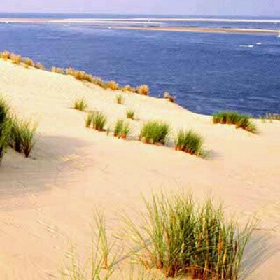 Profile Picture of Vincent Therese (@VincentTherese) on Twitter