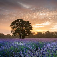 Profile Picture of Rielke Cocliff (@rielke-cocliff) on Quora