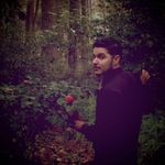 Profile Picture of Greg Mannheimer (@gregmannheimer) on Instagram