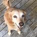 Profile Picture of Eleanor Sharp (@eleanor.sharp.5030927) on Facebook
