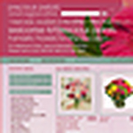 Profile Picture of Conor McCarthy (@Precious Petals) on Flickr