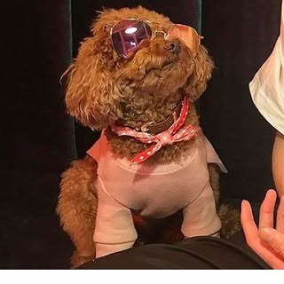 Profile Picture of 키빠1인 (@woo_ahan) on Instagram