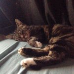 Profile Picture of Alex Errington (@alex4dawin123) on Instagram