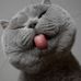 Profile Picture of Paul Schamberger (@paul.schamberger.923) on Facebook