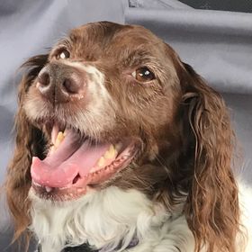 Profile Picture of Cassandra Beckman (@cassiopeia2713) on Pinterest