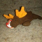Profile Picture of bob_the_moose (@bob_the_moose) on Instagram