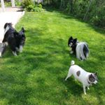 Profile Picture of Debbie Earp-Rubenstein (@furbabies13) on Instagram