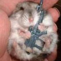 Profile Picture of Colquhoun Brian (@ColquhounBrian) on Twitter