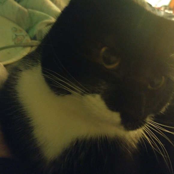 Rebekah Deskins - Poshmark Profile Picture of Rebekah Deskins (@reby1031) on Poshmark