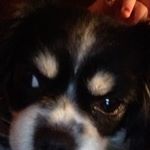 Profile Picture of Cheryl Johnson (@sissylynn2018) on Instagram