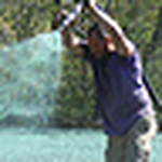 Profile Picture of kim ray (@Cape Cod Hydroseeding & Landscape Company) on Flickr
