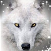 Profile Picture of Bobbi Noel (@bobbi-noel-3) on Quora