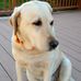 Profile Picture of Marilyn Howe (@marilyn.howe.969) on Facebook