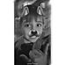 Profile Picture of Benjamin Colotta (@benjamin.colotta) on Facebook