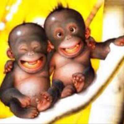 Profile Picture of ALEX NUNO (@alexnuno9800) on Twitter