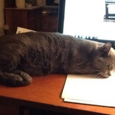 Profile Picture of Pam Schultz (@gtownWong) on Twitter