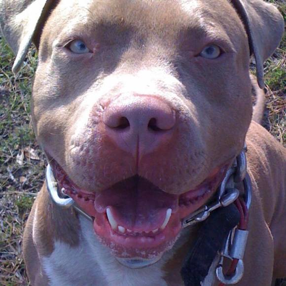 Profile Picture of Cecilia Chavez (@ceciliachave763) on Poshmark