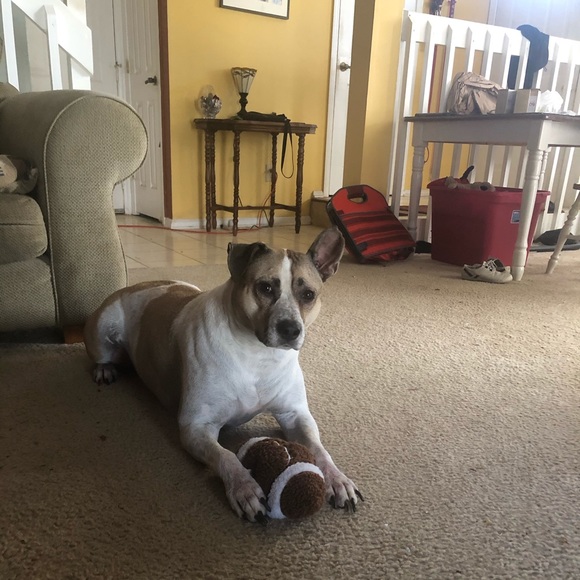 Profile Picture of John Albrecht (@jdalbrec) on Poshmark