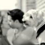 Profile Picture of Lucy Proctor (@kalystolucy) on Instagram