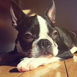 Profile Picture of NailoSyanodel (@NailoSyanodel) on Flickr