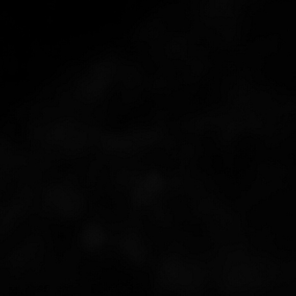 Profile Picture of Michael Gaines (@gabg22) on Poshmark