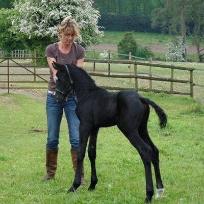Profile Picture of James Harper (@EquestrianGuy1) on Twitter