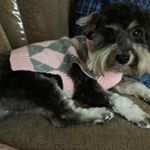 Profile Picture of Frances Kenney (@cgfran2007) on Instagram