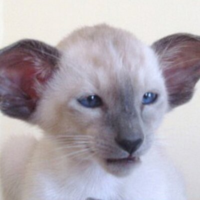 Profile Picture of Marcus Kennard (@Dolly72Marcus) on Twitter