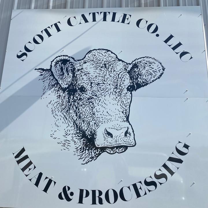 Profile Picture of Scott Cattle (@scottcattleco) on Tiktok