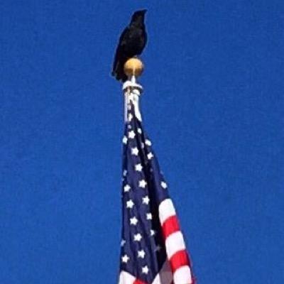 Profile Picture of Jon Hennessy (@JMHenny) on Twitter