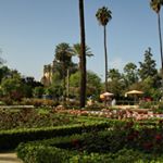 Profile Picture of Tracey (@traceyalbertha56) on Instagram