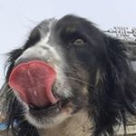 Profile Picture of Jason Harvison (@harvisonjason) on Instagram