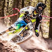 Profile Picture of Alan Decktor (@aadecktor) on Pinterest