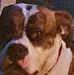 Profile Picture of Poul Pabst (@paul.pabst.94) on Facebook