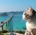 Profile Picture of Al Mohammad (@al.mohammad.12177276) on Facebook