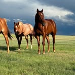 Profile Picture of Randy Rat (@randy.rat.989622) on Facebook