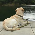 Profile Picture of Travis (@travisfink_) on Instagram