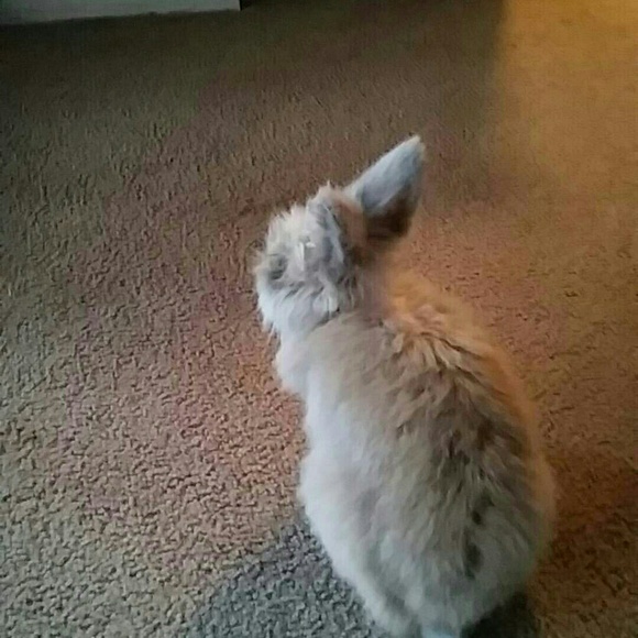 Profile Picture of Jaymen Brooks (@jbrookz16) on Poshmark