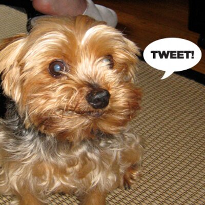 Profile Picture of Tom Dolby Office (@tomdolbyoffice) on Twitter