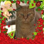 Profile Picture of Dominique Minou (@dominiqueminou) on Instagram