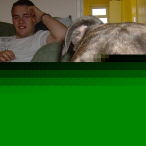Profile Picture of Steven Dilley (@336455793) on Myspace
