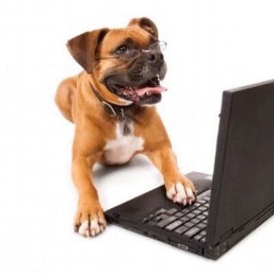 Profile Picture of John Barlas (@Jantati1) on Twitter