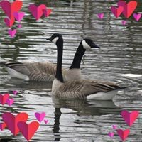 Profile Picture of Dee Fischer (@dee-fischer-6) on Quora