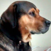 Profile Picture of Rory Moore (@rorymoore4387) on Youtube