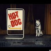 Profile Picture of Shawn Temple (@shawntemple7643) on Youtube