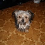 Profile Picture of Mandy Acker (@mandy.acker.581) on Facebook