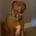 Profile Picture of loid quiambao (@patuluginiyonako_275) on Instagram