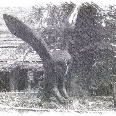Profile Picture of Barry Duffy (@BarryBadgerB) on Twitter