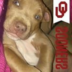 mike leach - Instagram Profile Picture of mike leach (@mikeleach65) on Instagram